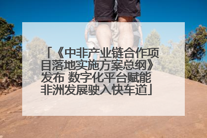 《中非产业链合作项目落地实施方案总纲》发布 数字化平台赋能非洲发展驶入快车道
