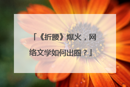 《折腰》爆火，网络文学如何出圈？