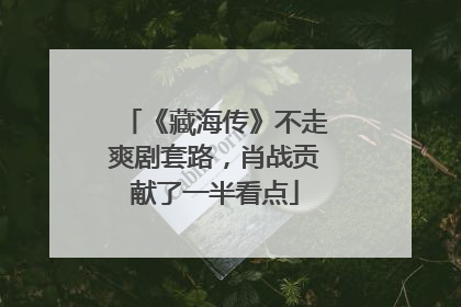 《藏海传》不走爽剧套路，肖战贡献了一半看点