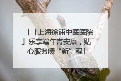 「上海徐浦中医医院」乐享端午寄安康，贴心服务暖“新”程