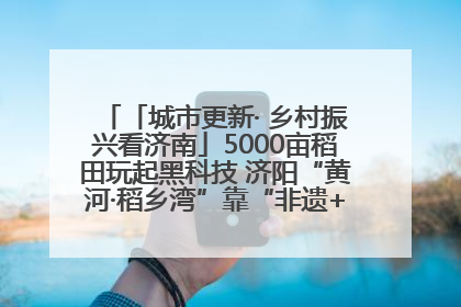 「城市更新· 乡村振兴看济南」5000亩稻田玩起黑科技 济阳“黄河·稻乡湾”靠“非遗+露营”火出圈