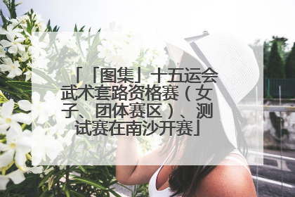 「图集」十五运会武术套路资格赛（女子、团体赛区）、测试赛在南沙开赛