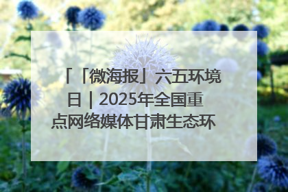 「微海报」六五环境日｜2025年全国重点网络媒体甘肃生态环保行走进凉州区