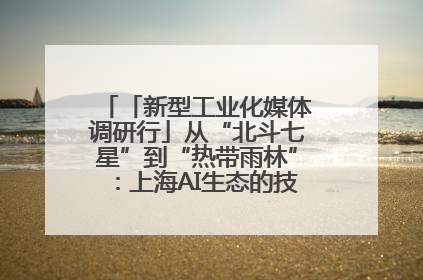 「新型工业化媒体调研行」从“北斗七星”到“热带雨林”：上海AI生态的技术商业共生密码