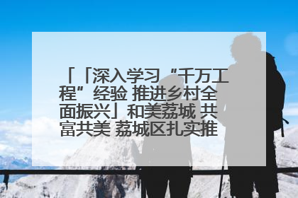 「深入学习“千万工程”经验 推进乡村全面振兴」和美荔城 共富共美 荔城区扎实推进乡村振兴工作