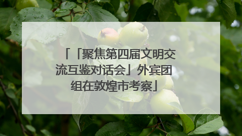 「聚焦第四届文明交流互鉴对话会」外宾团组在敦煌市考察