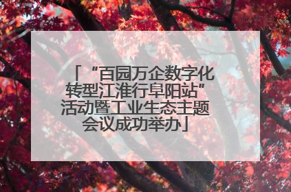 “百园万企数字化转型江淮行阜阳站”活动暨工业生态主题会议成功举办