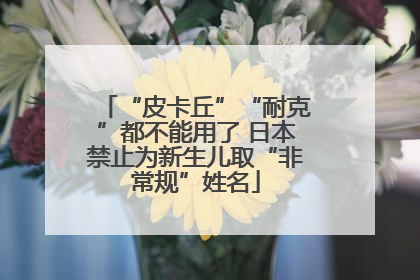 “皮卡丘”“耐克”都不能用了 日本禁止为新生儿取“非常规”姓名