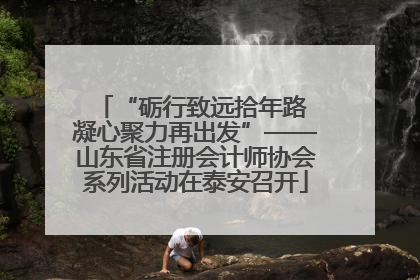 “砺行致远拾年路 凝心聚力再出发”——山东省注册会计师协会系列活动在泰安召开