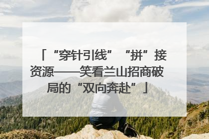 “穿针引线”“拼”接资源——笑看兰山招商破局的“双向奔赴”