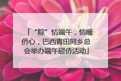 “粽”情端午，情暖侨心，巴西青田同乡总会举办端午慰侨活动