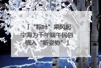 “粽叶”乘风起 宁海为千年端午民俗植入“新姿势”