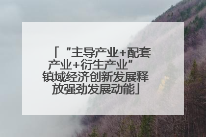 “主导产业+配套产业+衍生产业” 镇域经济创新发展释放强劲发展动能