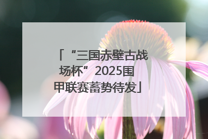 “三国赤壁古战场杯”2025围甲联赛蓄势待发