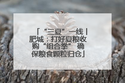 “三夏”一线丨肥城：打好夏粮收购“组合拳” 确保粮食颗粒归仓