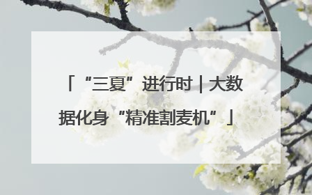 “三夏”进行时｜大数据化身“精准割麦机”