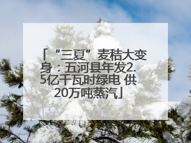 “三夏”麦秸大变身：五河县年发2.5亿千瓦时绿电 供20万吨蒸汽