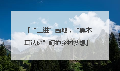 “三进”菌地，“黑木耳法庭”呵护乡村梦想