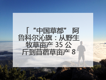 “中国草都” 阿鲁科尔沁旗：从野生牧草亩产 35 公斤到苜蓿草亩产 800 公斤以上