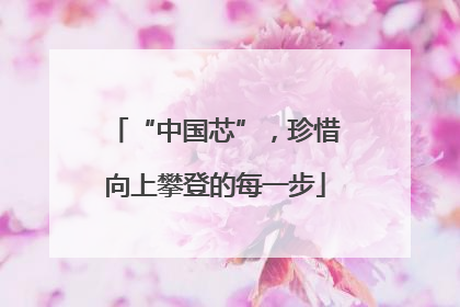 “中国芯”，珍惜向上攀登的每一步