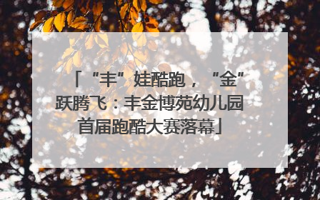 “丰”娃酷跑，“金”跃腾飞：丰金博苑幼儿园首届跑酷大赛落幕