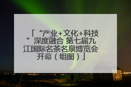 “产业+文化+科技”深度融合 第七届九江国际名茶名泉博览会开幕（组图）