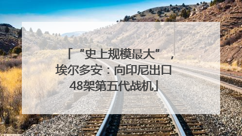 “史上规模最大”，埃尔多安：向印尼出口48架第五代战机