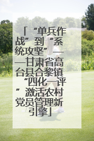 “单兵作战”到“系统攻坚”——甘肃省高台县合黎镇“四化一评”激活农村党员管理新引擎