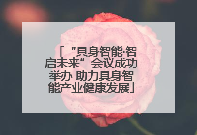 “具身智能·智启未来”会议成功举办 助力具身智能产业健康发展