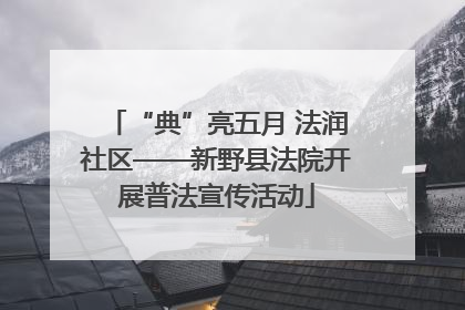 “典”亮五月 法润社区——新野县法院开展普法宣传活动