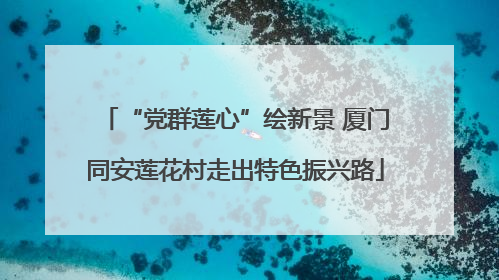 “党群莲心”绘新景 厦门同安莲花村走出特色振兴路