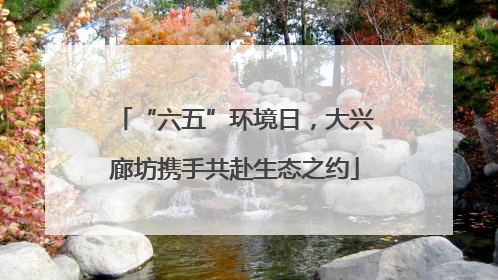 “六五”环境日，大兴廊坊携手共赴生态之约