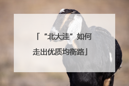 “北大洼”如何走出优质均衡路