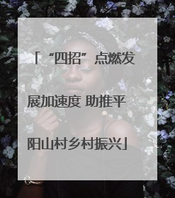 “四招”点燃发展加速度 助推平阳山村乡村振兴
