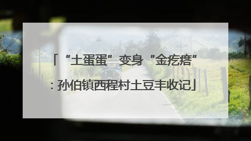 “土蛋蛋”变身“金疙瘩”：孙伯镇西程村土豆丰收记