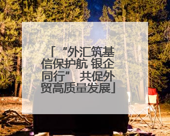 “外汇筑基 信保护航 银企同行” 共促外贸高质量发展