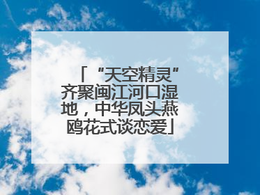 “天空精灵”齐聚闽江河口湿地，中华凤头燕鸥花式谈恋爱