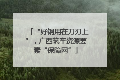 “好钢用在刀刃上”，广西筑牢资源要素“保障网”
