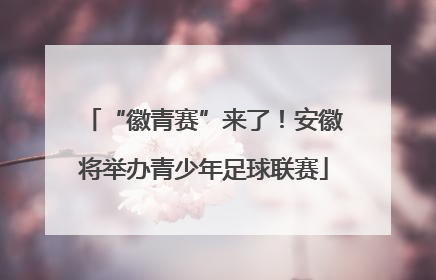 “徽青赛”来了！安徽将举办青少年足球联赛
