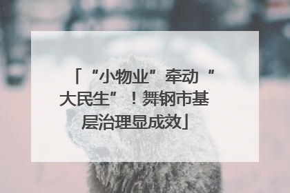“小物业”牵动“大民生”！舞钢市基层治理显成效