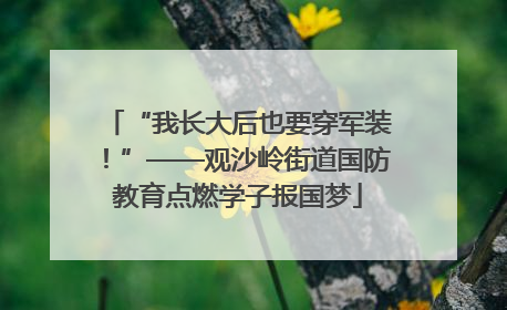 “我长大后也要穿军装！”——观沙岭街道国防教育点燃学子报国梦