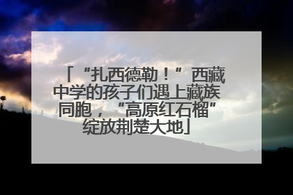 “扎西德勒！”西藏中学的孩子们遇上藏族同胞，“高原红石榴”绽放荆楚大地