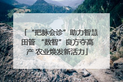 “把脉会诊”助力智慧田管 “数智”良方夺高产 农业焕发新活力
