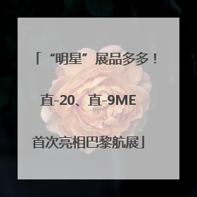 “明星”展品多多！直-20、直-9ME首次亮相巴黎航展