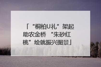 “桐柏U礼”架起助农金桥 “朱砂红桃”绘就振兴图景