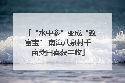 “水中参”变成“致富宝” 南漳八泉村千亩茭白喜获丰收