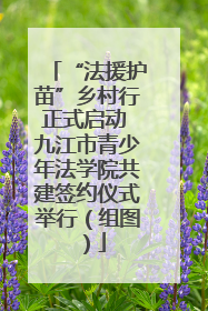 “法援护苗”乡村行正式启动 九江市青少年法学院共建签约仪式举行（组图）