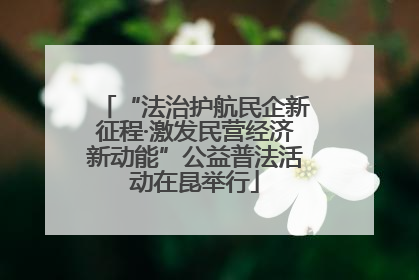 “法治护航民企新征程·激发民营经济新动能”公益普法活动在昆举行
