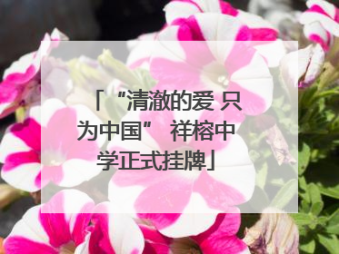“清澈的爱 只为中国” 祥榕中学正式挂牌