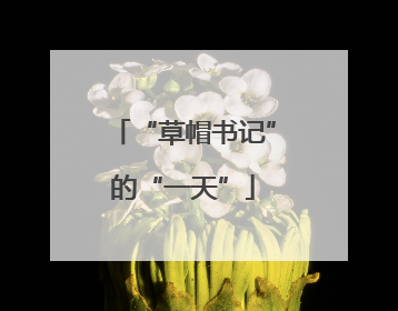 “草帽书记”的“一天”